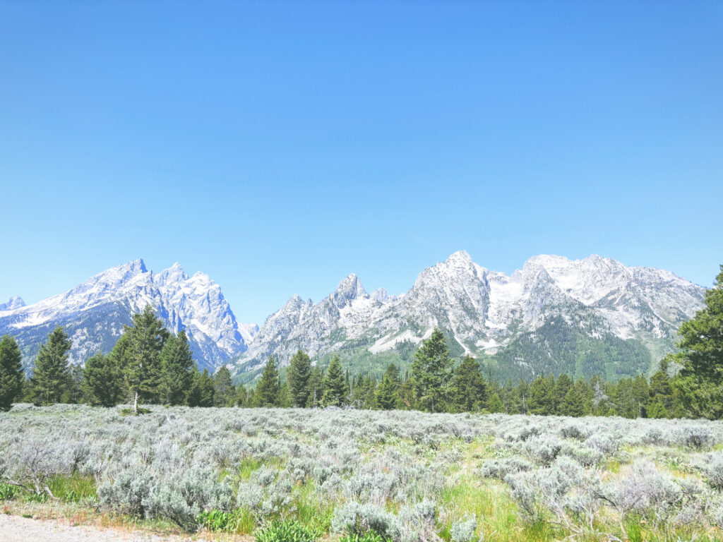 アメリカワイオミング州グランドティトン国立公園GrandTetonNationalPark見どころ魅力トレイル・ハイキングモデルコース日本人観光