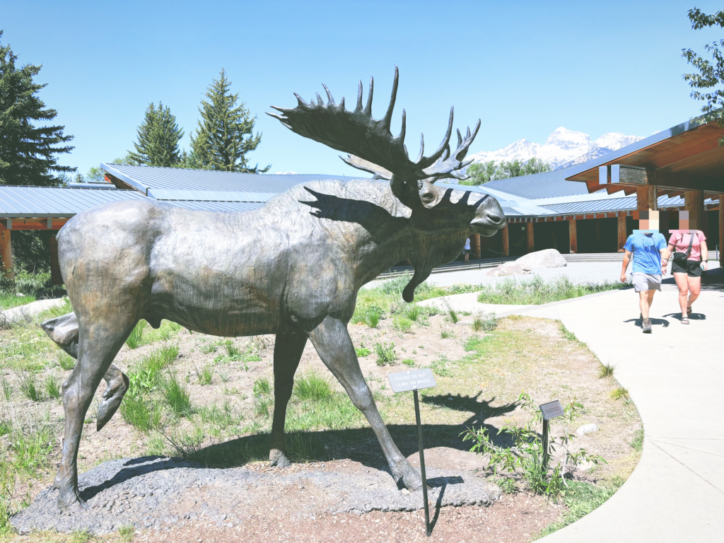 アメリカワイオミング州グランドティトン国立公園GrandTetonNationalPark見どころ魅力トレイル・ハイキングモデルコース日本人観光