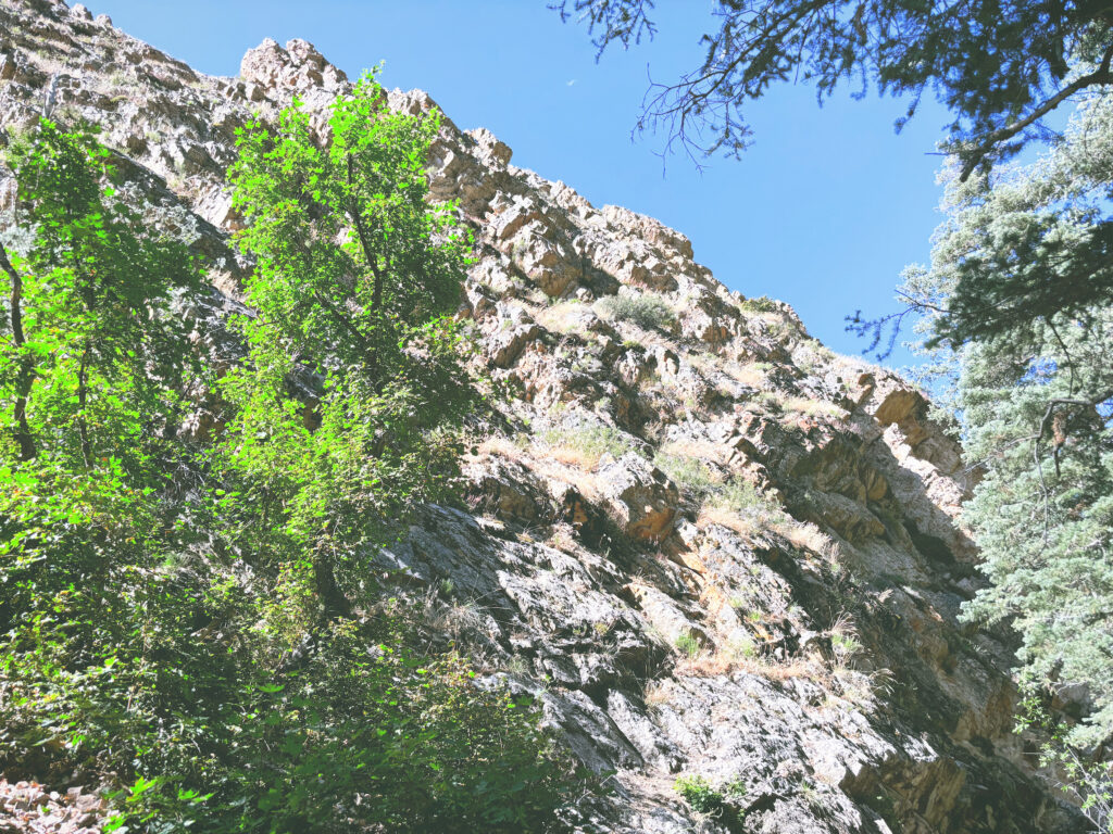 アメリカユタ州ティンパノゴス洞窟国立記念地Timpanogos Cave National Monument見どころ魅力トレイル・ハイキングモデルコース日本人観光