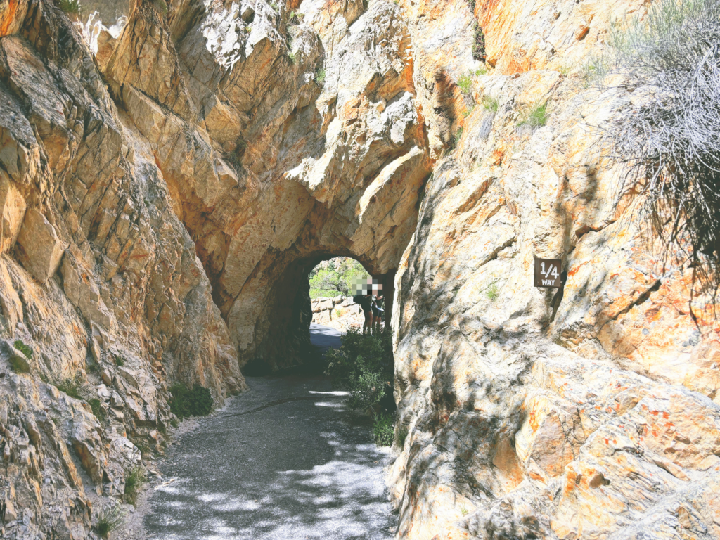 アメリカユタ州ティンパノゴス洞窟国立記念地Timpanogos Cave National Monument見どころ魅力トレイル・ハイキングモデルコース日本人観光