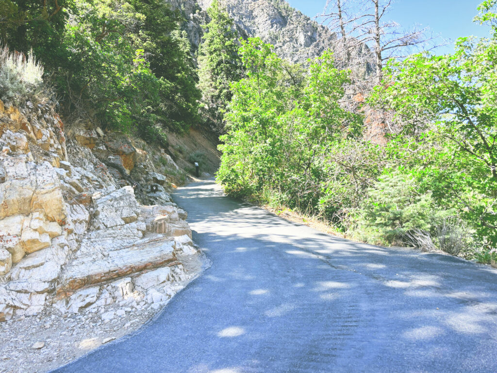 アメリカユタ州ティンパノゴス洞窟国立記念地Timpanogos Cave National Monument見どころ魅力トレイル・ハイキングモデルコース日本人観光