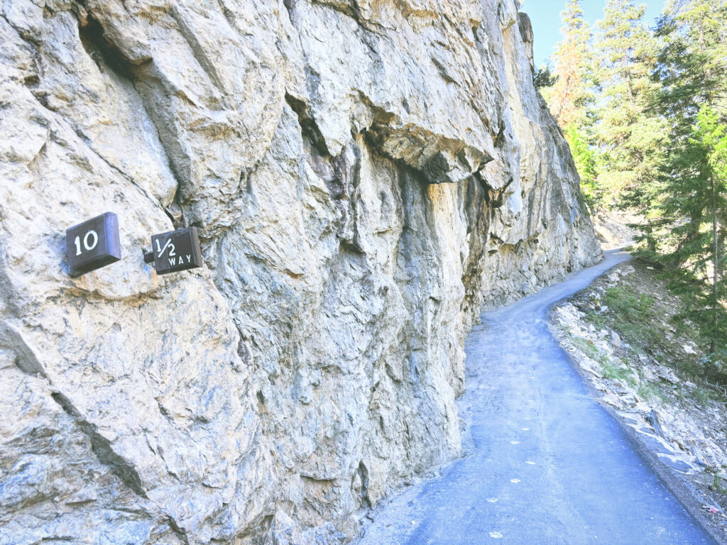 アメリカユタ州ティンパノゴス洞窟国立記念地Timpanogos Cave National Monument見どころ魅力トレイル・ハイキングモデルコース日本人観光