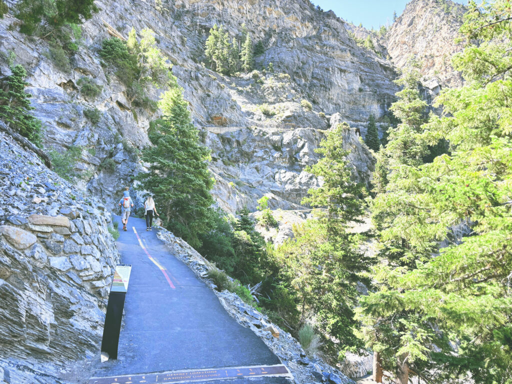 アメリカユタ州ティンパノゴス洞窟国立記念地Timpanogos Cave National Monument見どころ魅力トレイル・ハイキングモデルコース日本人観光