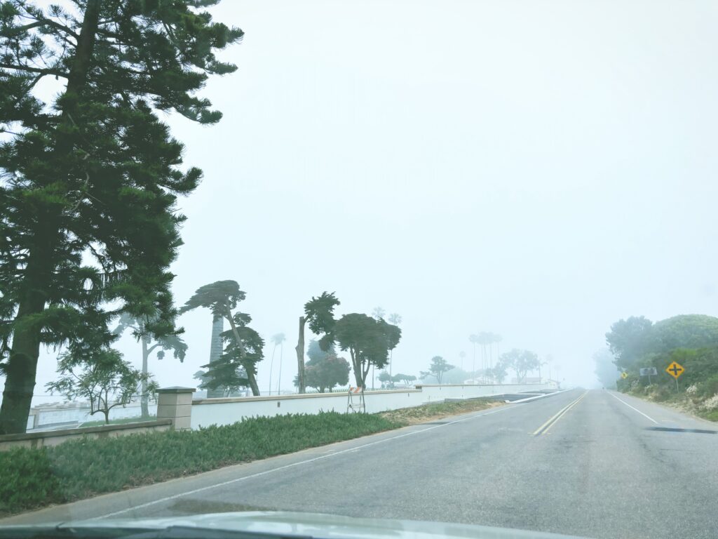 アメリカカリフォルニア州カブリヨ国定公園Cabrillo National Monument見どころ魅力トレイル・ハイキングモデルコース日本人観光