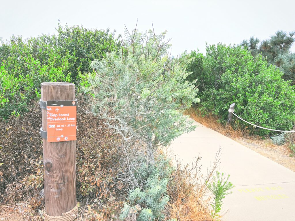 アメリカカリフォルニア州カブリヨ国定公園Cabrillo National Monument見どころ魅力トレイル・ハイキングモデルコース日本人観光