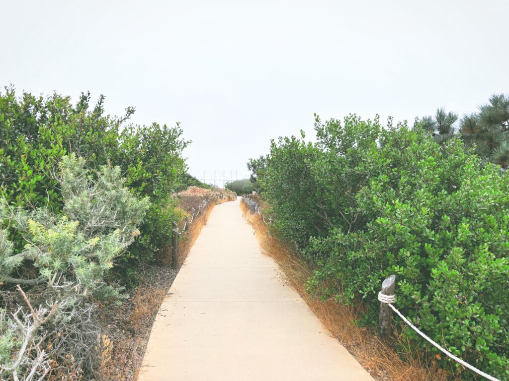 アメリカカリフォルニア州カブリヨ国定公園Cabrillo National Monument見どころ魅力トレイル・ハイキングモデルコース日本人観光