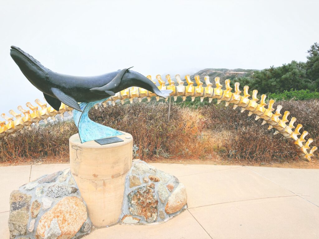 アメリカカリフォルニア州カブリヨ国定公園Cabrillo National Monument見どころ魅力トレイル・ハイキングモデルコース日本人観光