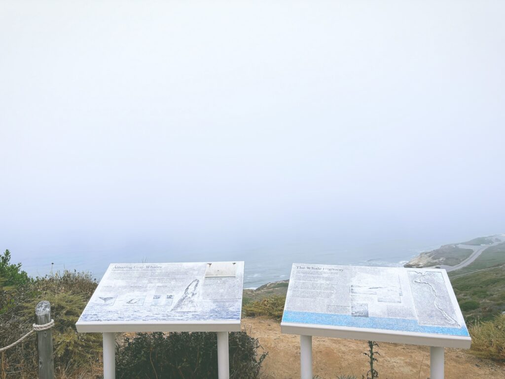 アメリカカリフォルニア州カブリヨ国定公園Cabrillo National Monument見どころ魅力トレイル・ハイキングモデルコース日本人観光