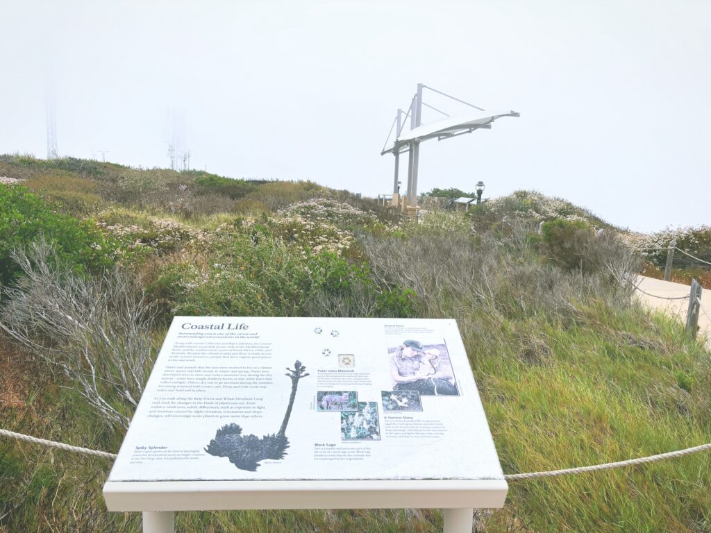 アメリカカリフォルニア州カブリヨ国定公園Cabrillo National Monument見どころ魅力トレイル・ハイキングモデルコース日本人観光