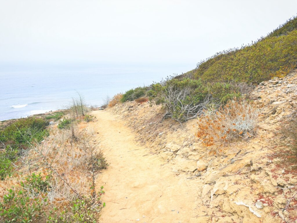 アメリカカリフォルニア州カブリヨ国定公園Cabrillo National Monument見どころ魅力トレイル・ハイキングモデルコース日本人観光