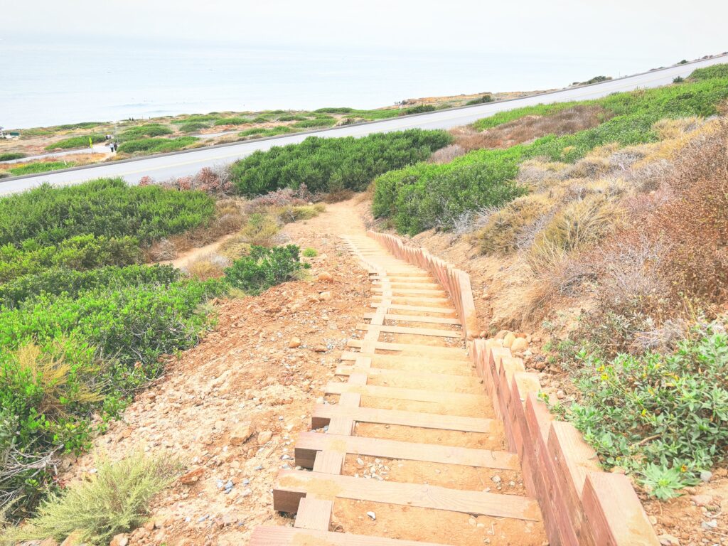 アメリカカリフォルニア州カブリヨ国定公園Cabrillo National Monument見どころ魅力トレイル・ハイキングモデルコース日本人観光