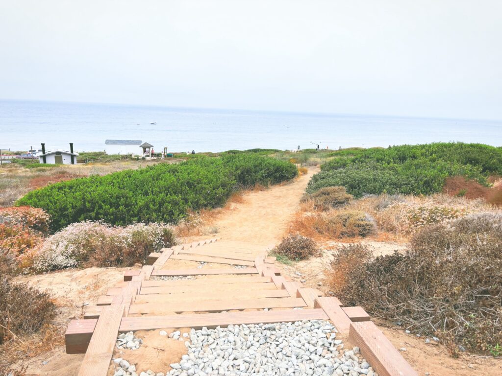 アメリカカリフォルニア州カブリヨ国定公園Cabrillo National Monument見どころ魅力トレイル・ハイキングモデルコース日本人観光