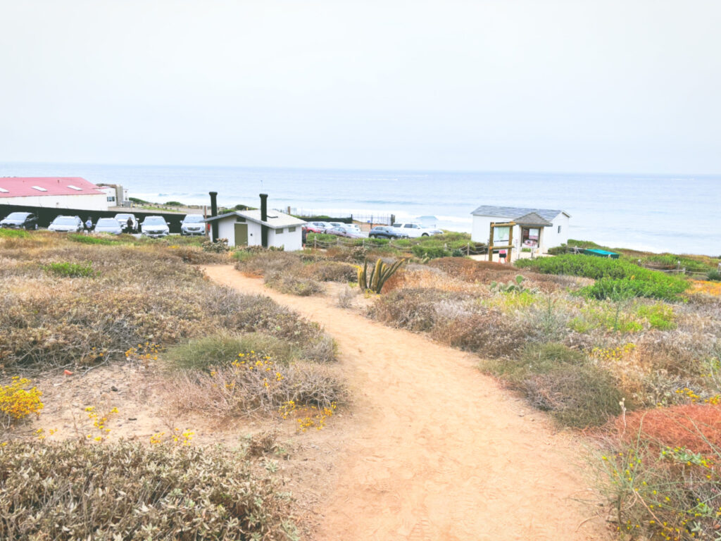 アメリカカリフォルニア州カブリヨ国定公園Cabrillo National Monument見どころ魅力トレイル・ハイキングモデルコース日本人観光