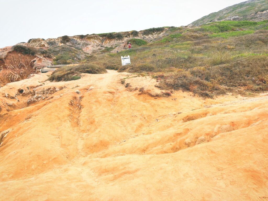 アメリカカリフォルニア州カブリヨ国定公園Cabrillo National Monument見どころ魅力トレイル・ハイキングモデルコース日本人観光