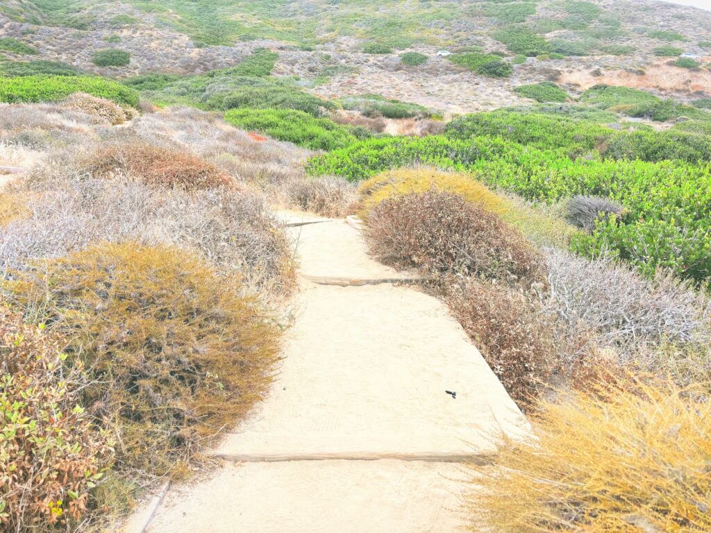 アメリカカリフォルニア州カブリヨ国定公園Cabrillo National Monument見どころ魅力トレイル・ハイキングモデルコース日本人観光