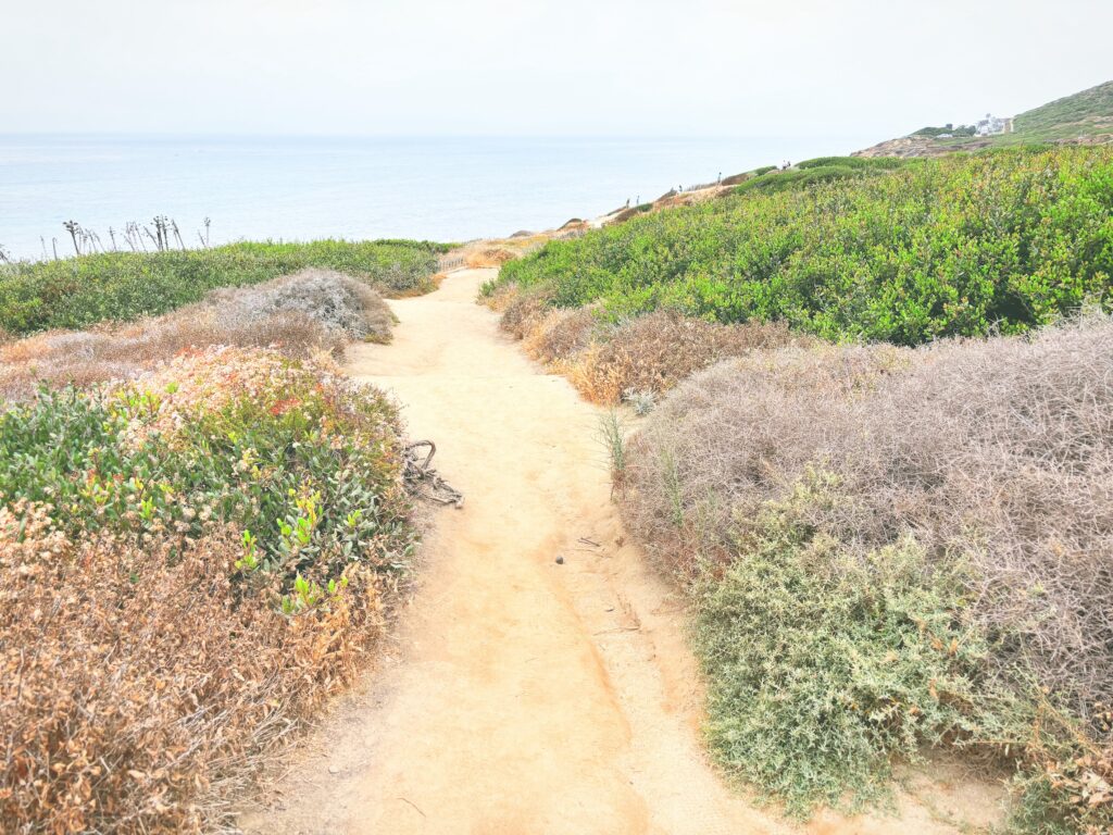 アメリカカリフォルニア州カブリヨ国定公園Cabrillo National Monument見どころ魅力トレイル・ハイキングモデルコース日本人観光