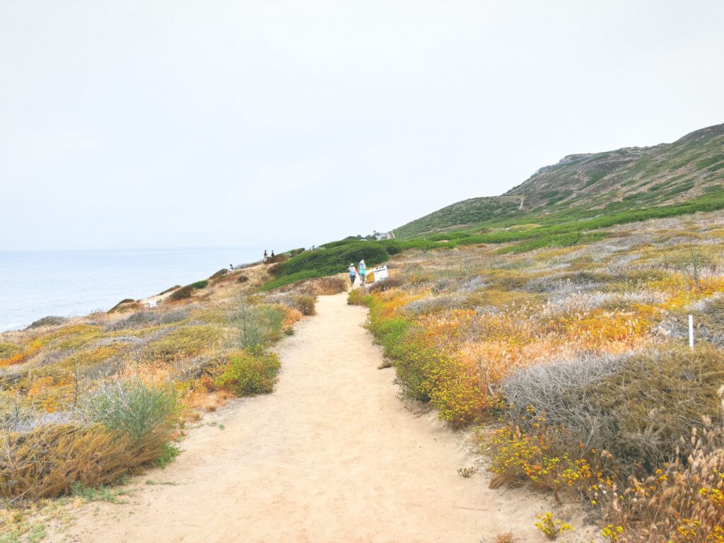 アメリカカリフォルニア州カブリヨ国定公園Cabrillo National Monument見どころ魅力トレイル・ハイキングモデルコース日本人観光