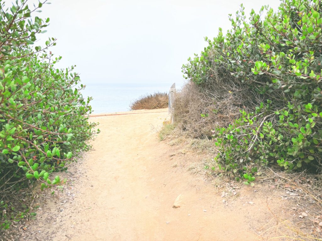 アメリカカリフォルニア州カブリヨ国定公園Cabrillo National Monument見どころ魅力トレイル・ハイキングモデルコース日本人観光