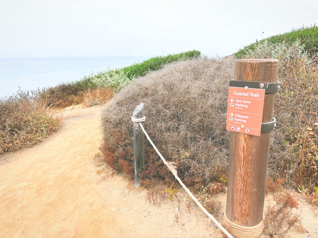 アメリカカリフォルニア州カブリヨ国定公園Cabrillo National Monument見どころ魅力トレイル・ハイキングモデルコース日本人観光