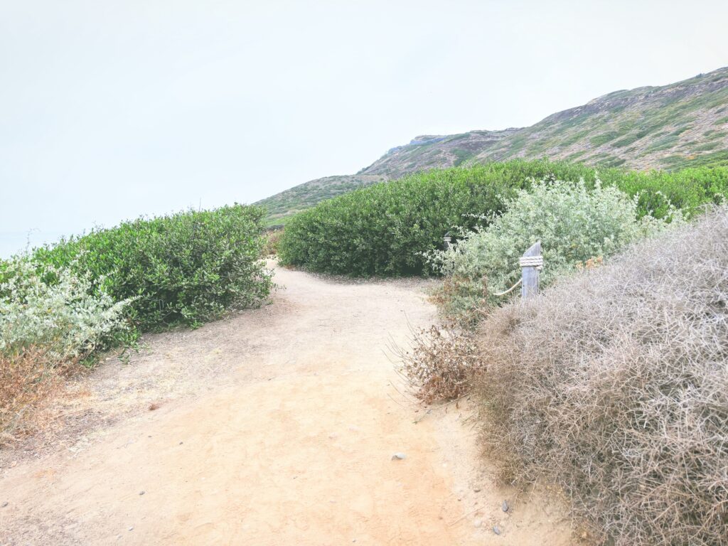 アメリカカリフォルニア州カブリヨ国定公園Cabrillo National Monument見どころ魅力トレイル・ハイキングモデルコース日本人観光