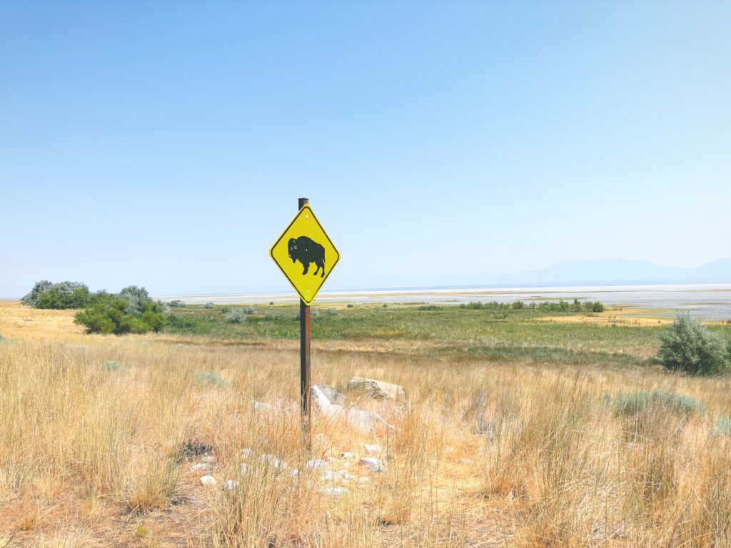 アメリカユタ州アンテロープアイランド州立公園Antelope Island State Park見どころ魅力トレイル・ハイキングモデルコース日本人観光