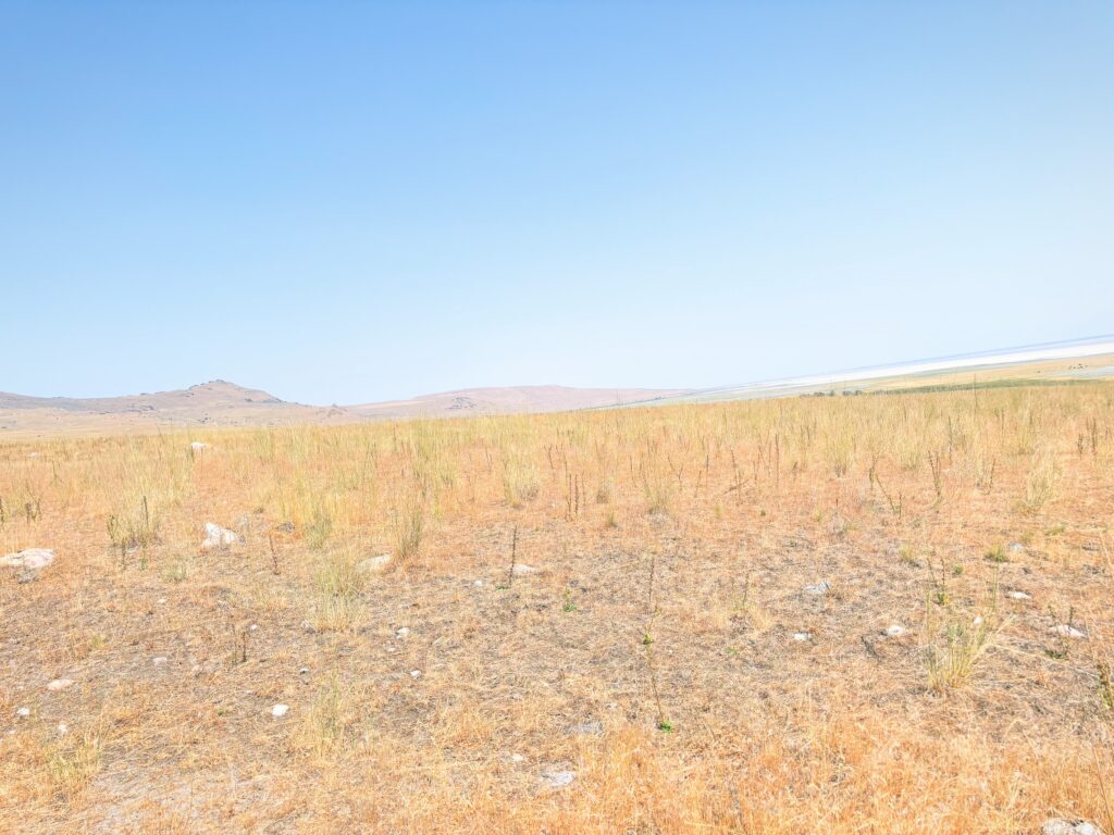 アメリカユタ州アンテロープアイランド州立公園Antelope Island State Park見どころ魅力トレイル・ハイキングモデルコース日本人観光