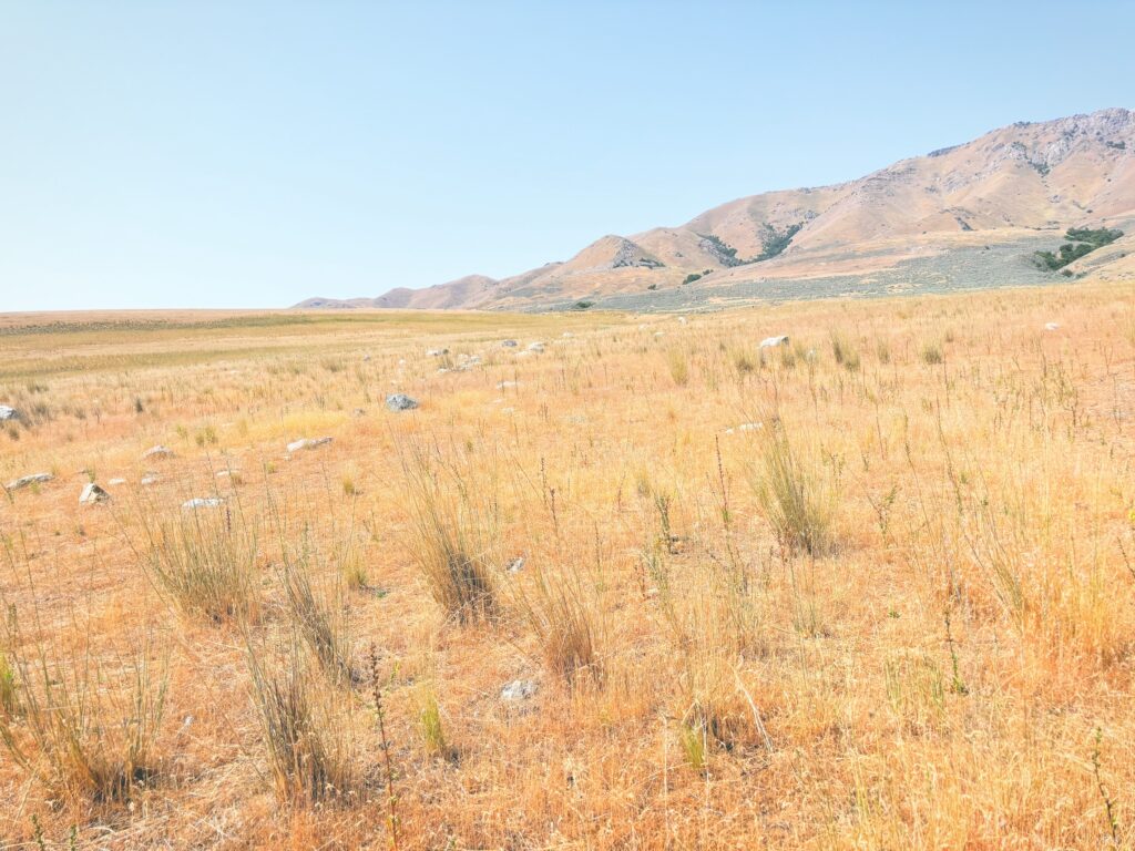 アメリカユタ州アンテロープアイランド州立公園Antelope Island State Park見どころ魅力トレイル・ハイキングモデルコース日本人観光