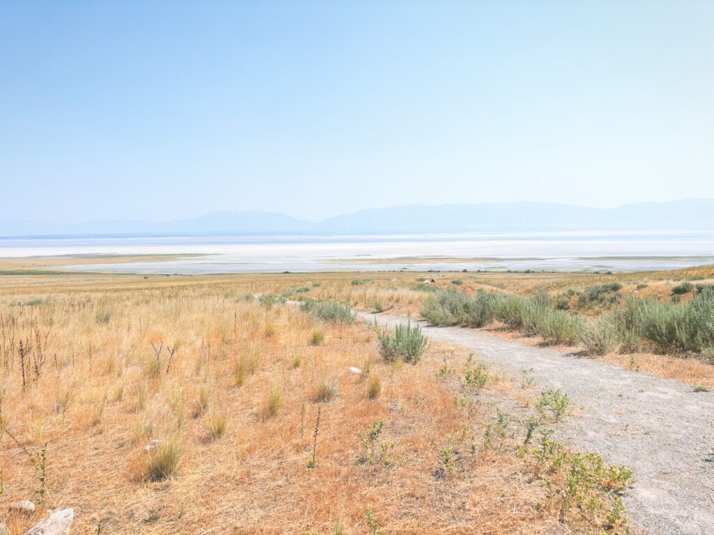 アメリカユタ州アンテロープアイランド州立公園Antelope Island State Park見どころ魅力トレイル・ハイキングモデルコース日本人観光