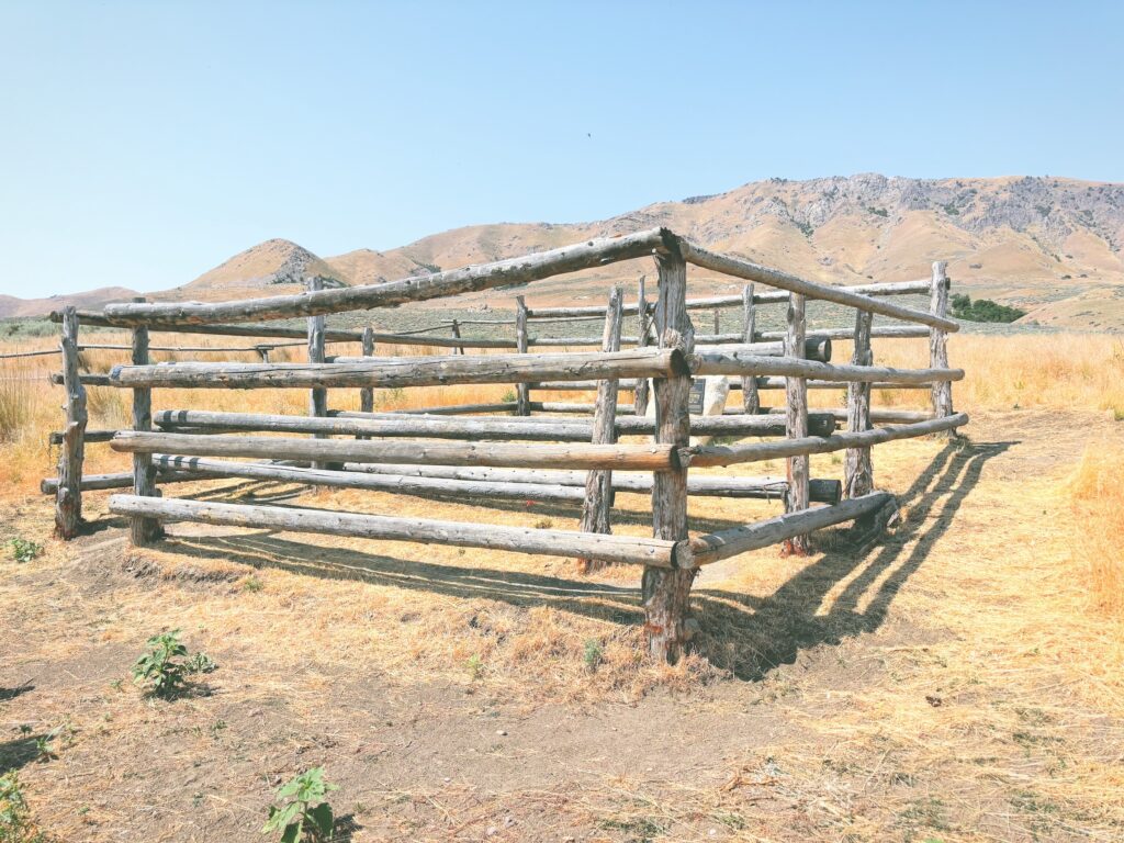 アメリカユタ州アンテロープアイランド州立公園Antelope Island State Park見どころ魅力トレイル・ハイキングモデルコース日本人観光