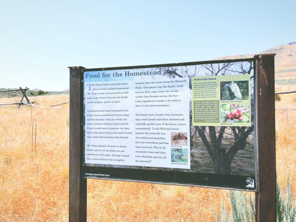 アメリカユタ州アンテロープアイランド州立公園Antelope Island State Park見どころ魅力トレイル・ハイキングモデルコース日本人観光