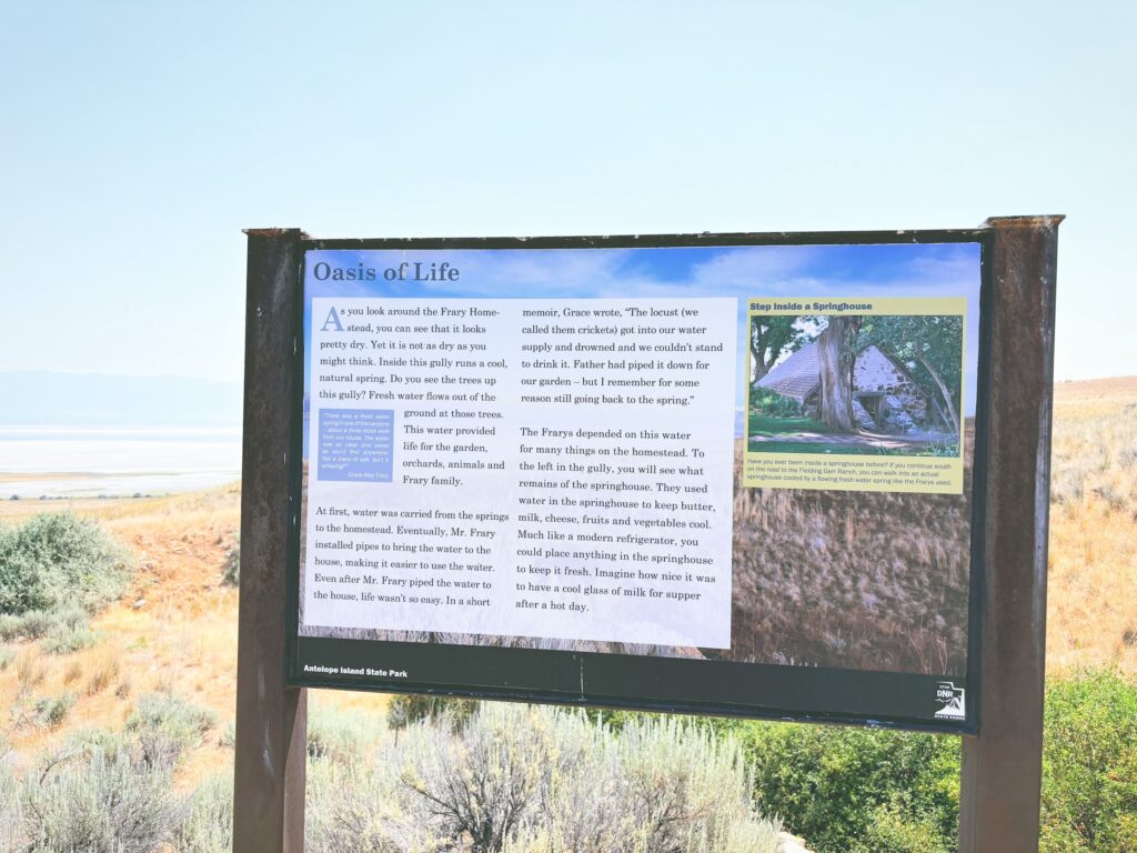 アメリカユタ州アンテロープアイランド州立公園Antelope Island State Park見どころ魅力トレイル・ハイキングモデルコース日本人観光