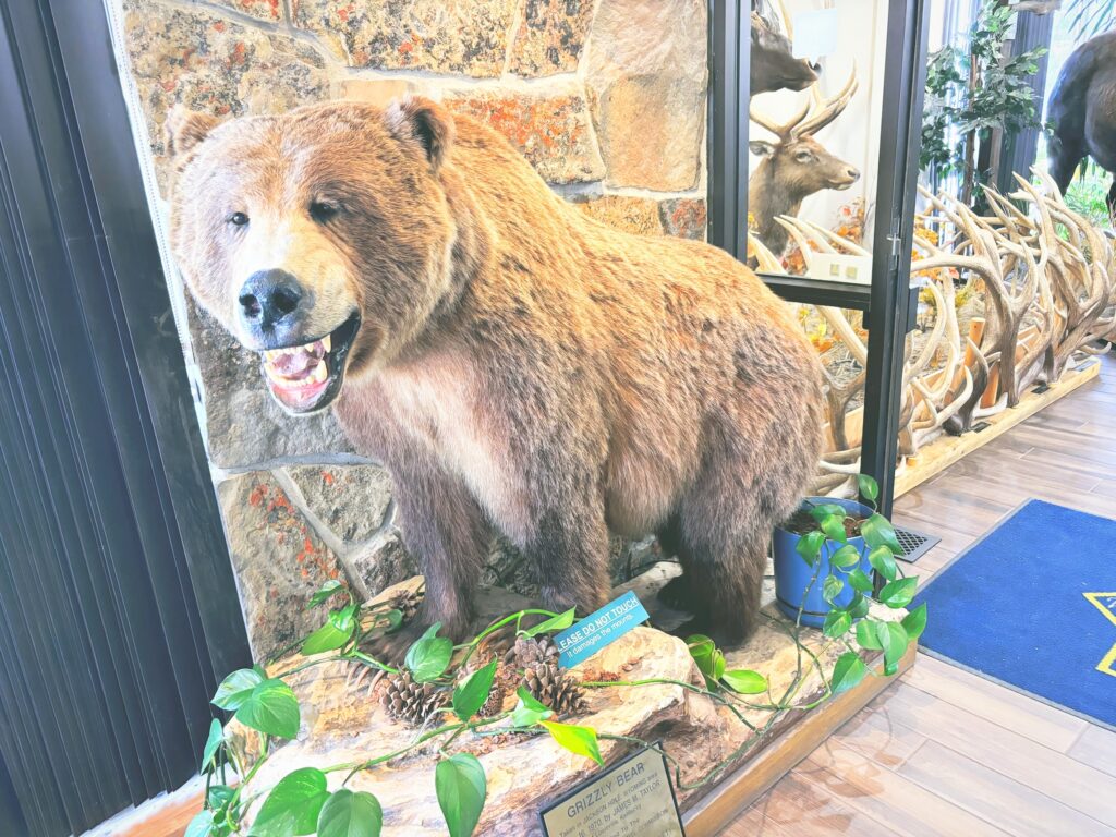 アメリカワイオミング州ベアーリバー州立公園Bear River State Park見どころ魅力トレイル・ハイキングモデルコース日本人観光