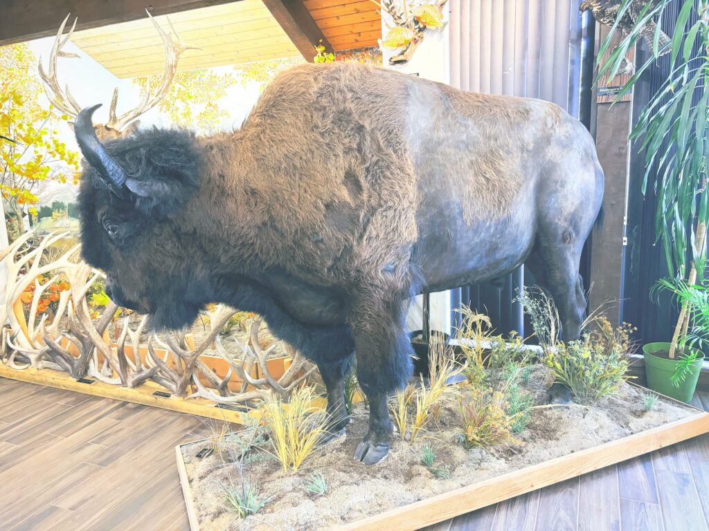 アメリカワイオミング州ベアーリバー州立公園Bear River State Park見どころ魅力トレイル・ハイキングモデルコース日本人観光