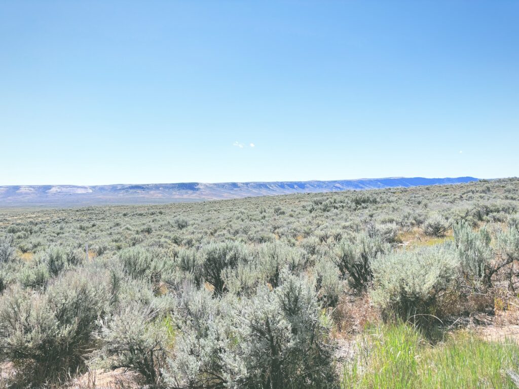 アメリカワイオミング州フォッシルビュート国定公園ossil Butte National Monument見どころ魅力トレイル・ハイキングモデルコース日本人観光