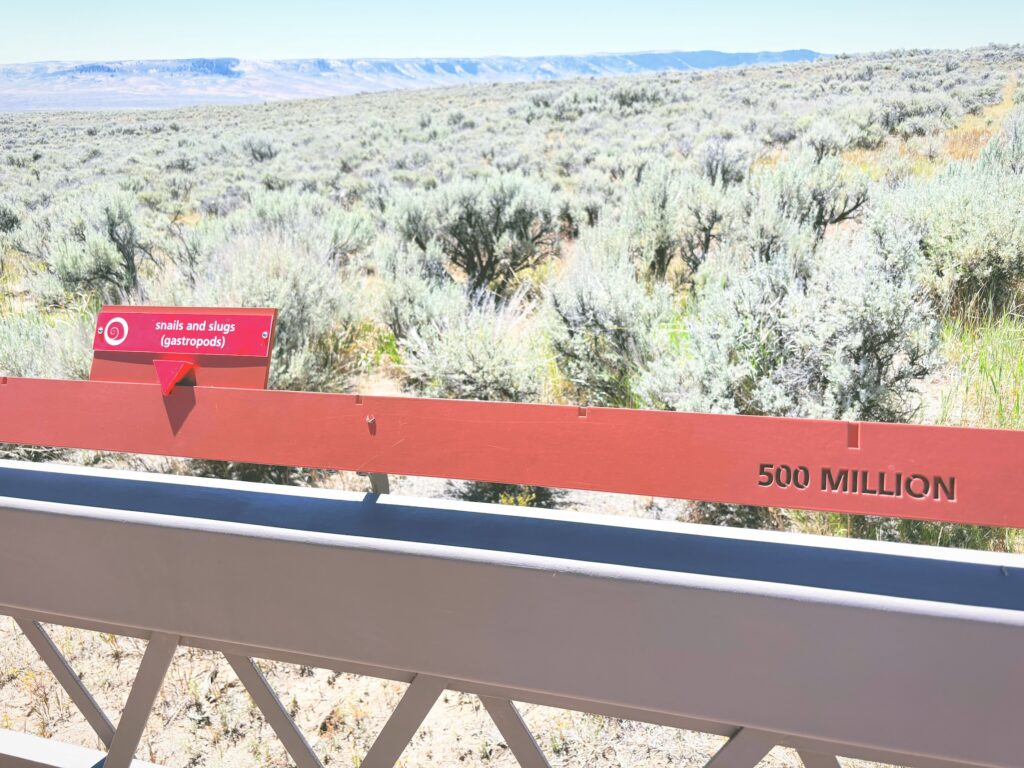 アメリカワイオミング州フォッシルビュート国定公園ossil Butte National Monument見どころ魅力トレイル・ハイキングモデルコース日本人観光