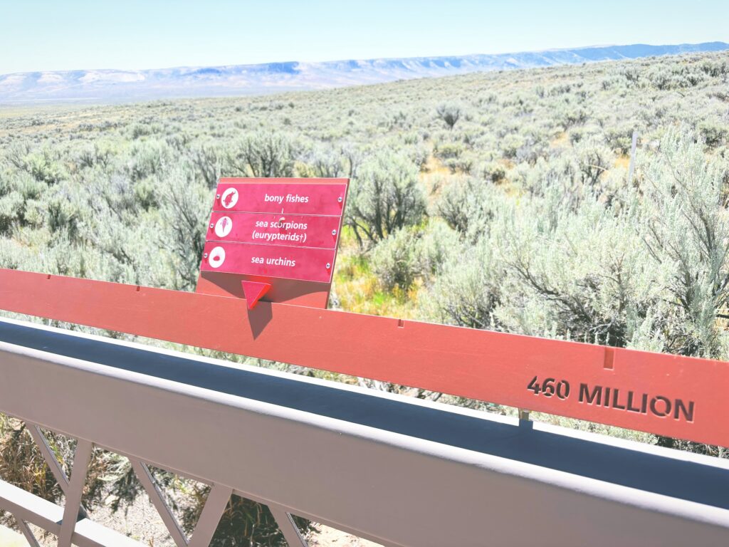 アメリカワイオミング州フォッシルビュート国定公園ossil Butte National Monument見どころ魅力トレイル・ハイキングモデルコース日本人観光