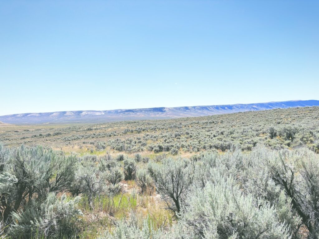 アメリカワイオミング州フォッシルビュート国定公園ossil Butte National Monument見どころ魅力トレイル・ハイキングモデルコース日本人観光