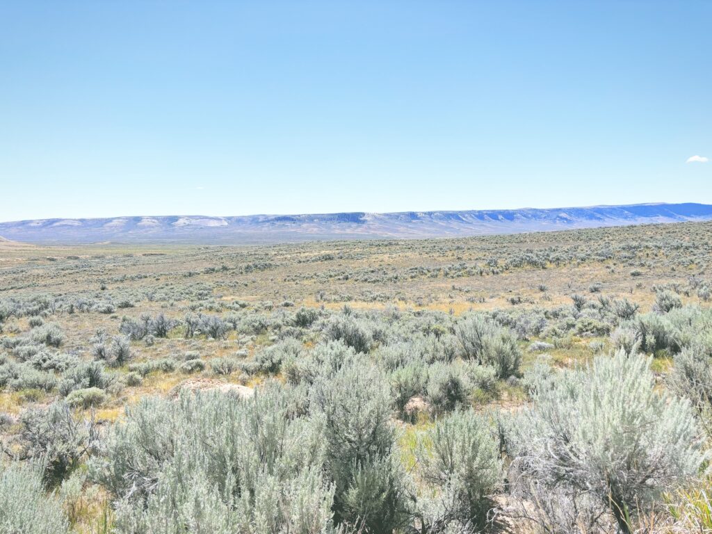 アメリカワイオミング州フォッシルビュート国定公園ossil Butte National Monument見どころ魅力トレイル・ハイキングモデルコース日本人観光