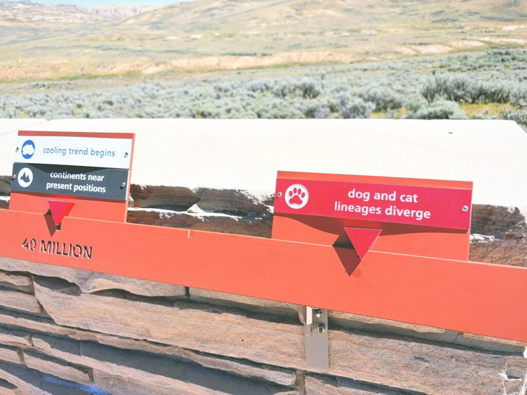 アメリカワイオミング州フォッシルビュート国定公園ossil Butte National Monument見どころ魅力トレイル・ハイキングモデルコース日本人観光