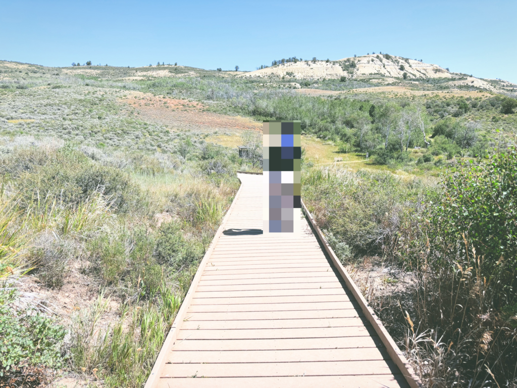 アメリカワイオミング州フォッシルビュート国定公園ossil Butte National Monument見どころ魅力トレイル・ハイキングモデルコース日本人観光