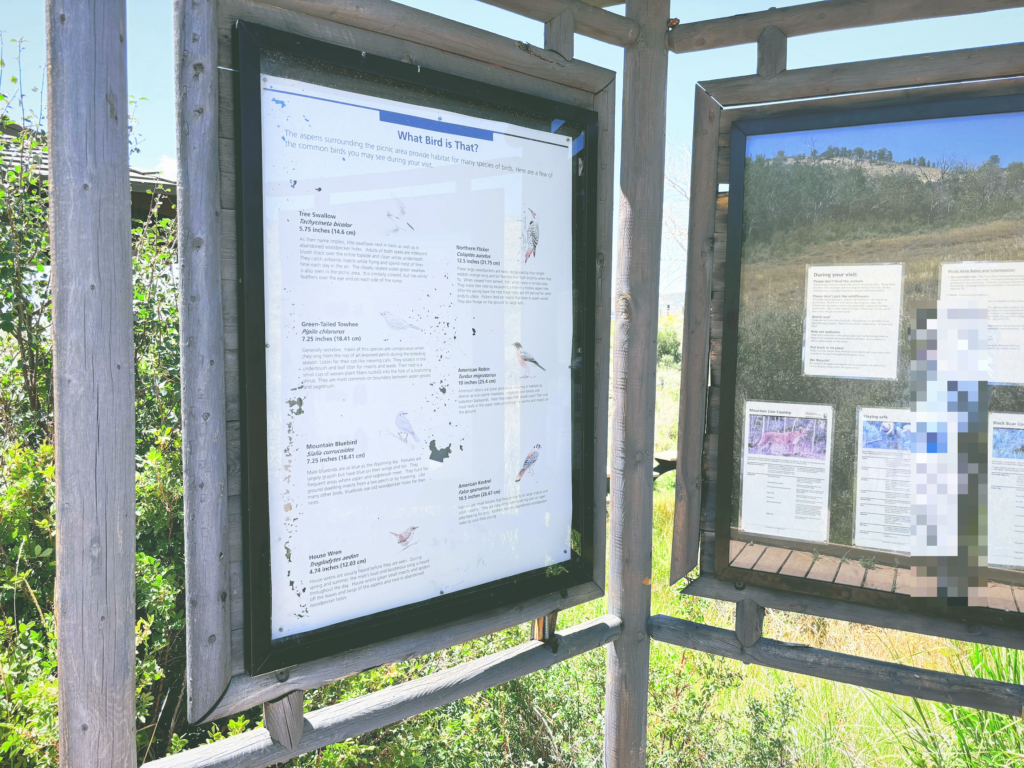 アメリカワイオミング州フォッシルビュート国定公園ossil Butte National Monument見どころ魅力トレイル・ハイキングモデルコース日本人観光