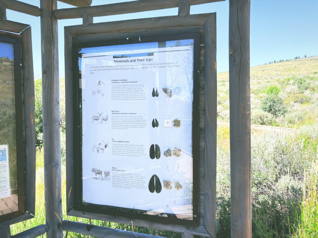 アメリカワイオミング州フォッシルビュート国定公園ossil Butte National Monument見どころ魅力トレイル・ハイキングモデルコース日本人観光