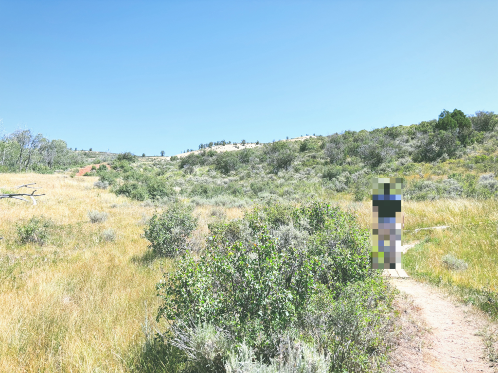 アメリカワイオミング州フォッシルビュート国定公園ossil Butte National Monument見どころ魅力トレイル・ハイキングモデルコース日本人観光