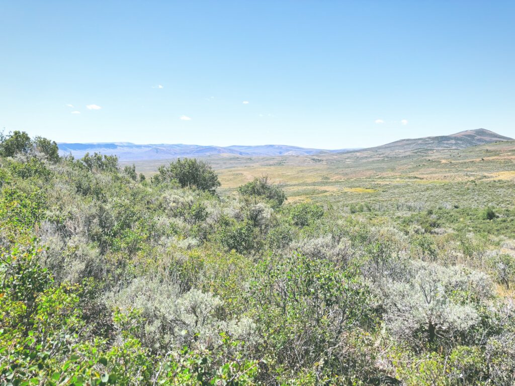 アメリカワイオミング州フォッシルビュート国定公園ossil Butte National Monument見どころ魅力トレイル・ハイキングモデルコース日本人観光