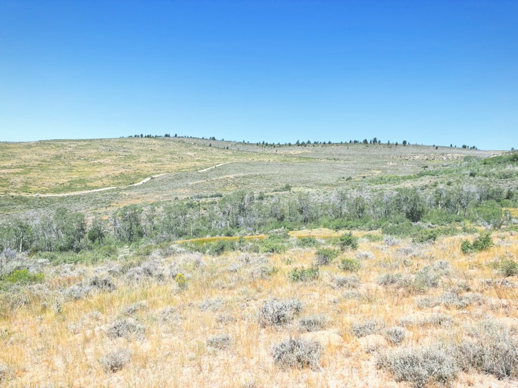 アメリカワイオミング州フォッシルビュート国定公園ossil Butte National Monument見どころ魅力トレイル・ハイキングモデルコース日本人観光