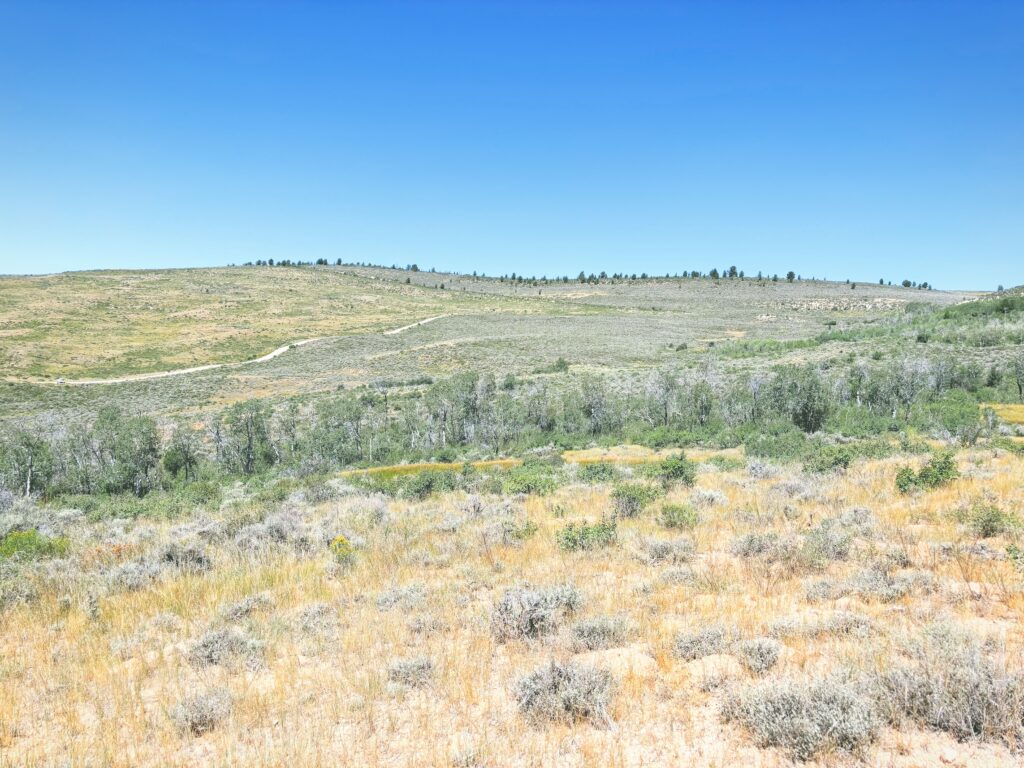 アメリカワイオミング州フォッシルビュート国定公園ossil Butte National Monument見どころ魅力トレイル・ハイキングモデルコース日本人観光