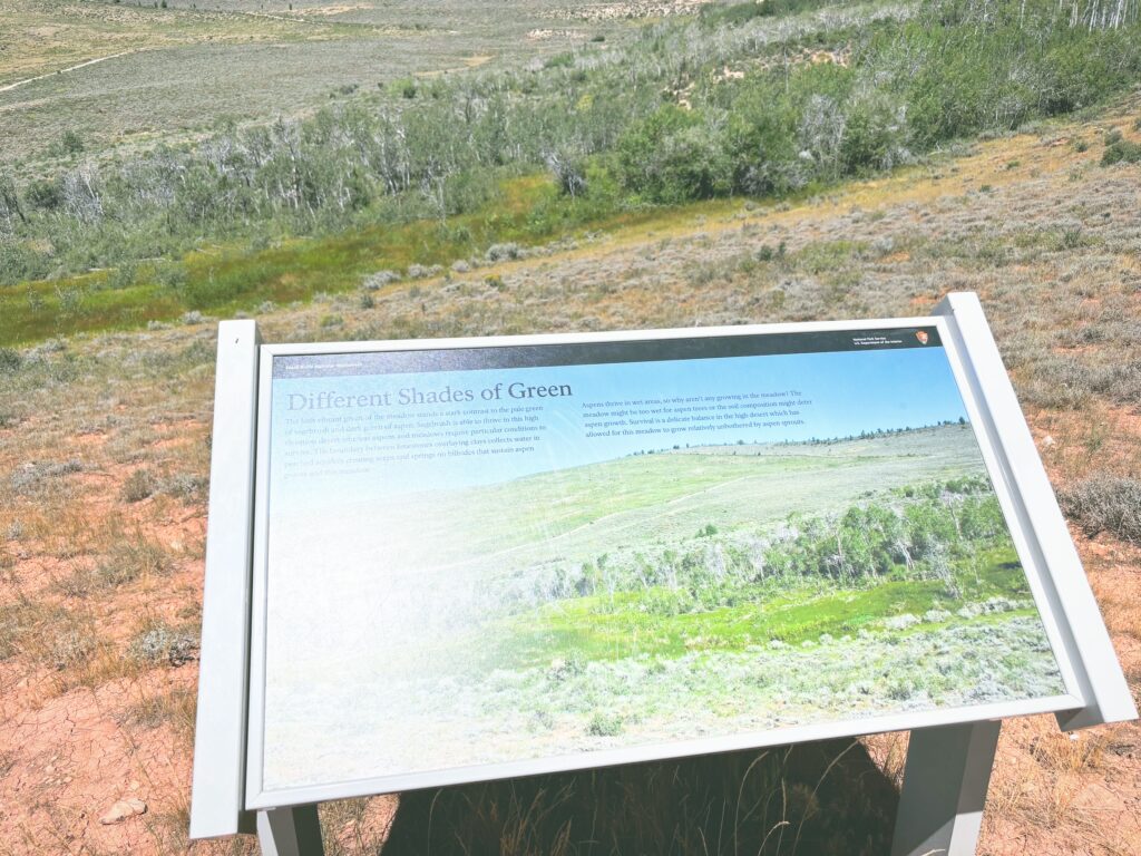 アメリカワイオミング州フォッシルビュート国定公園ossil Butte National Monument見どころ魅力トレイル・ハイキングモデルコース日本人観光