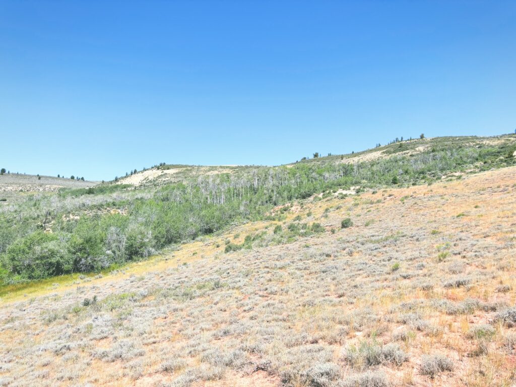 アメリカワイオミング州フォッシルビュート国定公園ossil Butte National Monument見どころ魅力トレイル・ハイキングモデルコース日本人観光