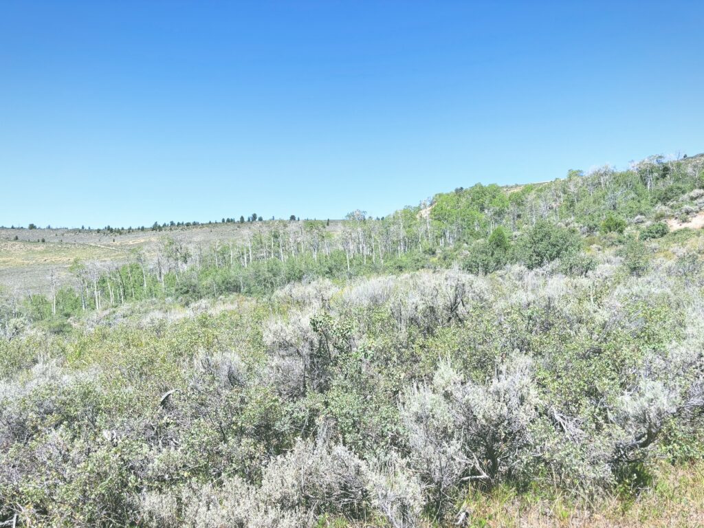 アメリカワイオミング州フォッシルビュート国定公園ossil Butte National Monument見どころ魅力トレイル・ハイキングモデルコース日本人観光