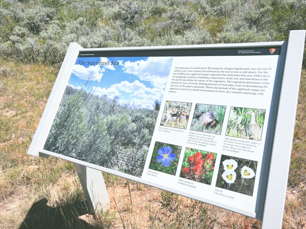 アメリカワイオミング州フォッシルビュート国定公園ossil Butte National Monument見どころ魅力トレイル・ハイキングモデルコース日本人観光